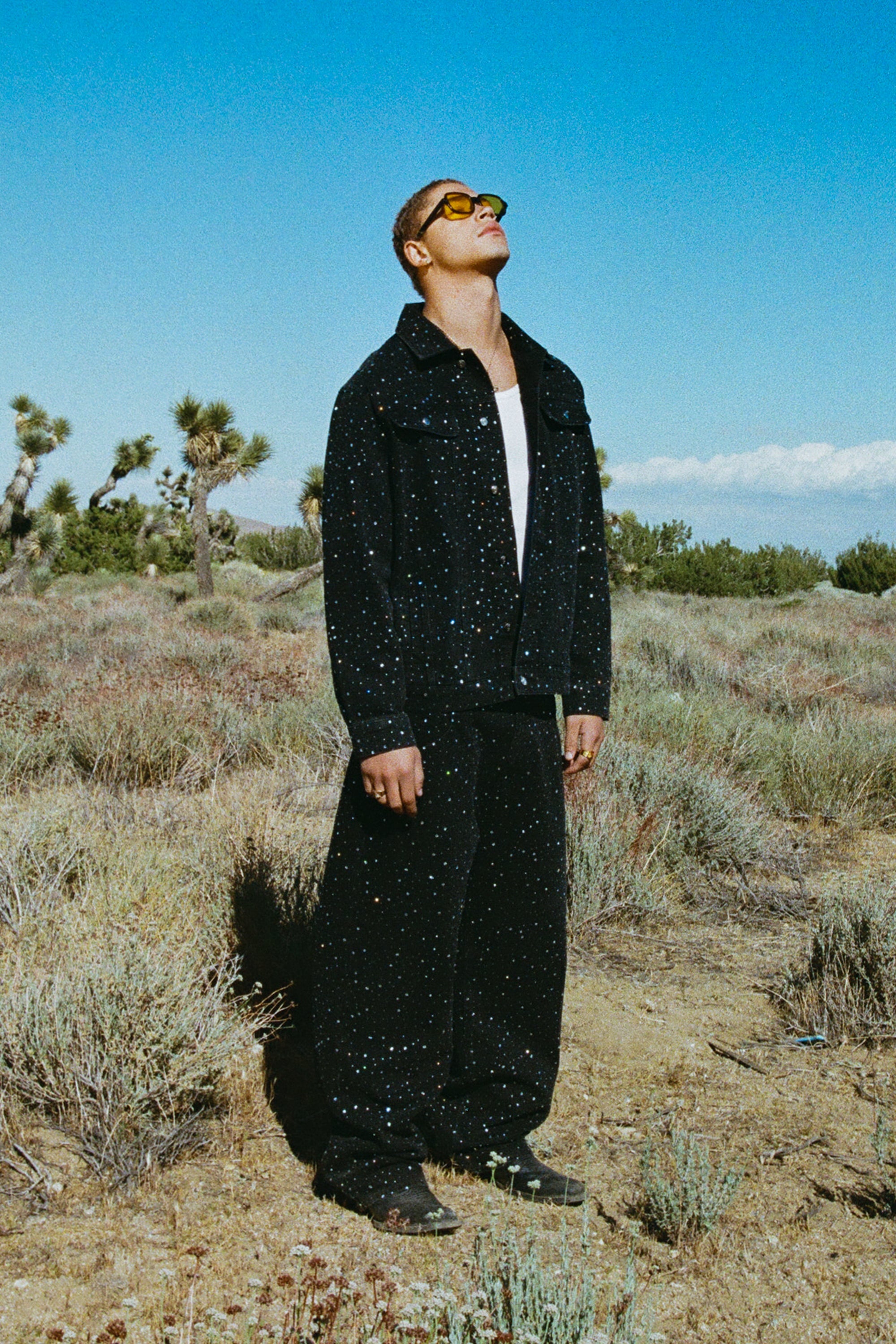 RHINESTONE DENIM (COMING SOON)