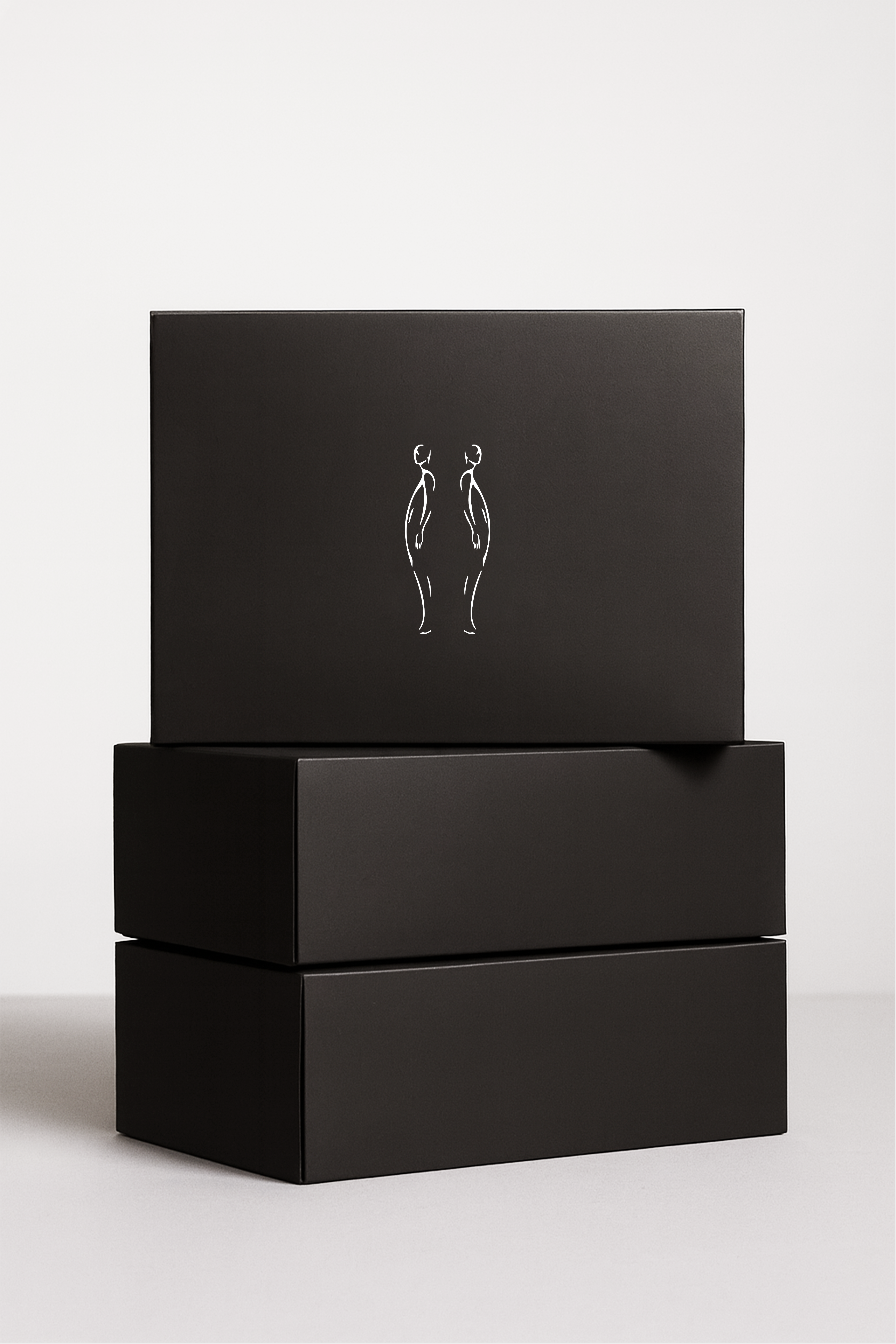 COLLECTORS BOX PRESTIGE (MYSTERY)
